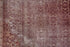 Antique Amritzar Area Rug (10' x 12')